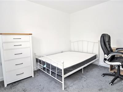 Picture 13
